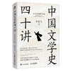 中国文学史四十讲：从*学写作 李天飞著古典文学研究阅读鉴赏学会写作 商品缩略图4