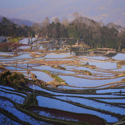 云南十八怪，杂糅的元阳哈尼梯田与建水汉家文庙【红河谷】7天6晚 商品图13