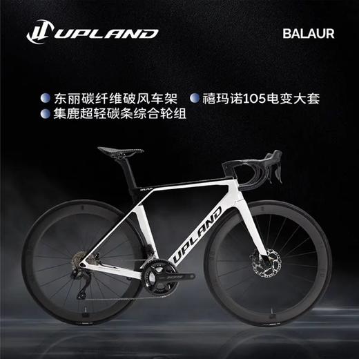 UPLAND阿普兰Balaur巴勒超轻全碳纤维自行车公路车24速白色碳轮版 商品图5
