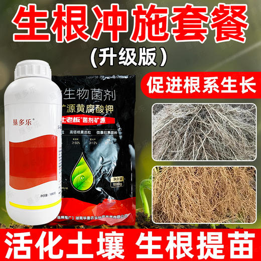 华垦复硝酚钠生根冲施方案组合强力生根蔬菜番茄生根促根调节生长 商品图3