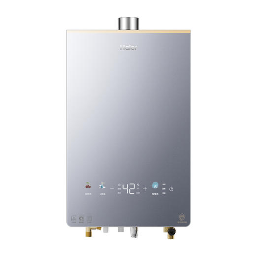 海尔（Haier）热水器 JSQ31-16KL5PROFXPGU1 商品图0