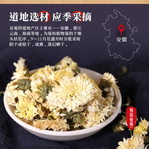 康美药业菊花（贡菊）50克/瓶 可搭配金银花枸杞泡水喝  花草茶 商品图1