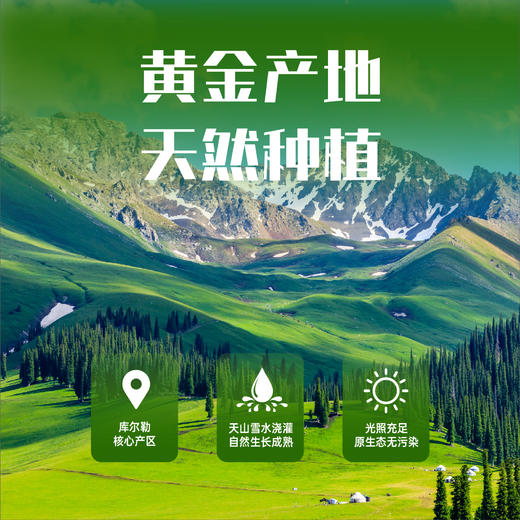 【预计12月28日发货，急单慎拍】【特惠69.9】果真田园库尔勒香梨 4.5斤【分仓直发】 商品图1