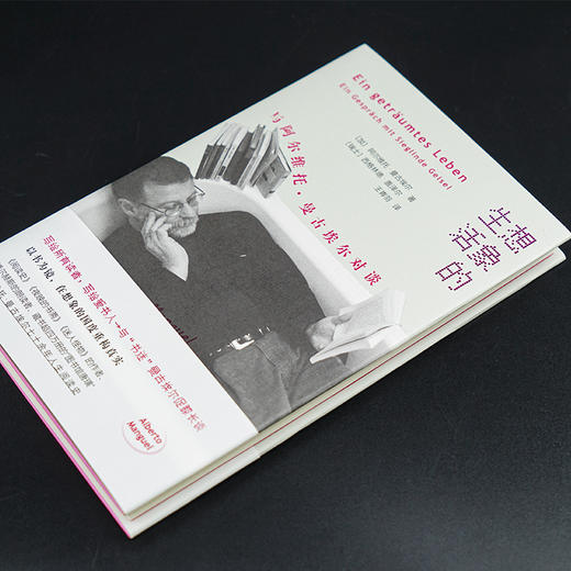 《想象的生活》《迷怪》《迷人怪物》《和博尔赫斯在一起》 商品图1