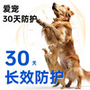 【澳龙】狗狗体外驱虫药大型犬用贝宠安除虱子跳蚤蜱虫外用杀虫滴剂 商品缩略图4