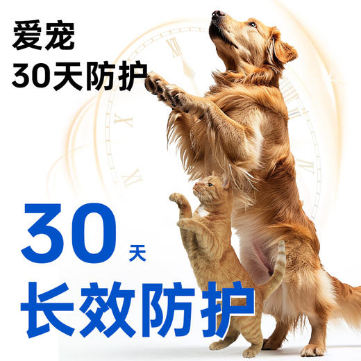 【澳龙】狗狗体外驱虫药大型犬用贝宠安除虱子跳蚤蜱虫外用杀虫滴剂 商品图4