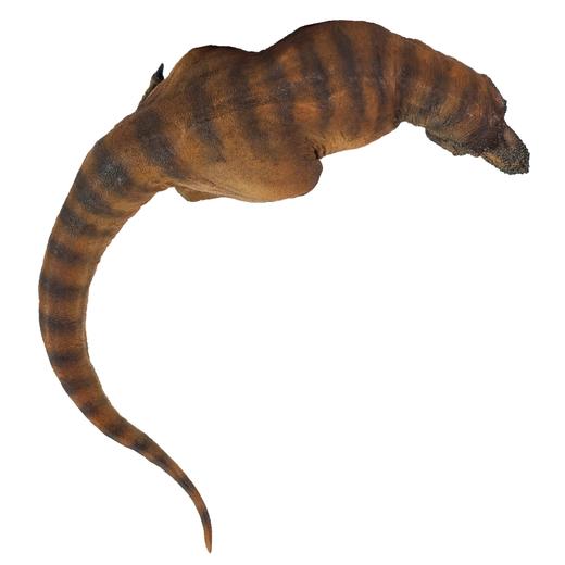 PNSO霸王龙安德莉亚恐龙博物馆1：35科学艺术模型 商品图4