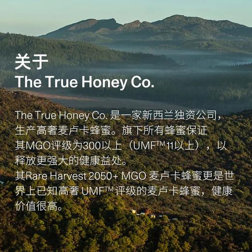 【初蜜蔻×第15届上海双年展】 MGO500+/UMF15+麦卢卡蜂蜜限定装 商品图3