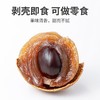 新款新品大颗桂圆干新货莆田特产龙眼肉250g皮薄肉厚核小煲汤佳品 商品缩略图1