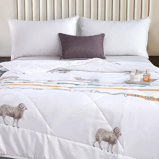 北极绒 BJRB309新西兰纯羊毛被-白 200x230cm( 3kg) 商品图1