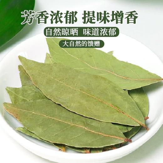 蜀渝天香月桂叶15g 商品图1