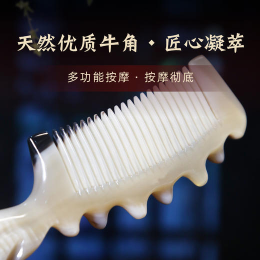 海参钉钉小号（16CM） 商品图3