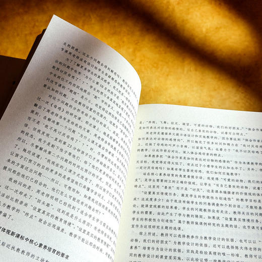 教育写作 从入门到卓越 大夏书系 黄建初 教师专业发展 商品图11