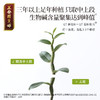 正安 铁皮石斛 深度润养告别干燥 煲汤食材冲泡用料 螺旋紧实胶质浓郁 优质原材 90g/罐 商品缩略图9