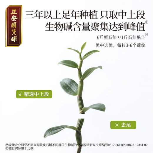 正安 铁皮石斛 深度润养告别干燥 煲汤食材冲泡用料 螺旋紧实胶质浓郁 优质原材 90g/罐 商品图9