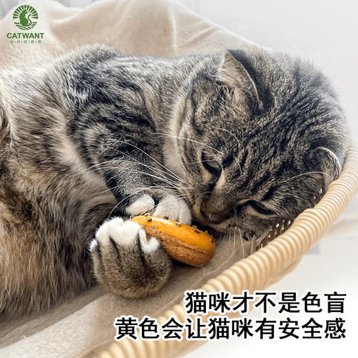 猫咪旺农场 木天蓼甜甜圈磨牙玩具啃咬自嗨玩具 猫咪爱玩 商品图2