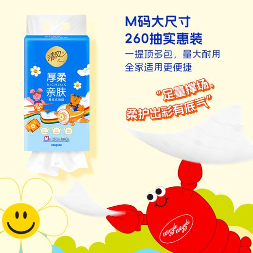 清风 wiggle联名厚柔M码挂抽4层260抽6提 送挂钩 柔护全家 48小时发货 商品图5