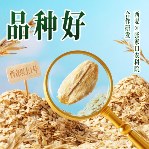 高蛋白有机燕麦片560g 张家口坝上1号燕麦 0蔗糖 即食代餐营养谷物 商品图4