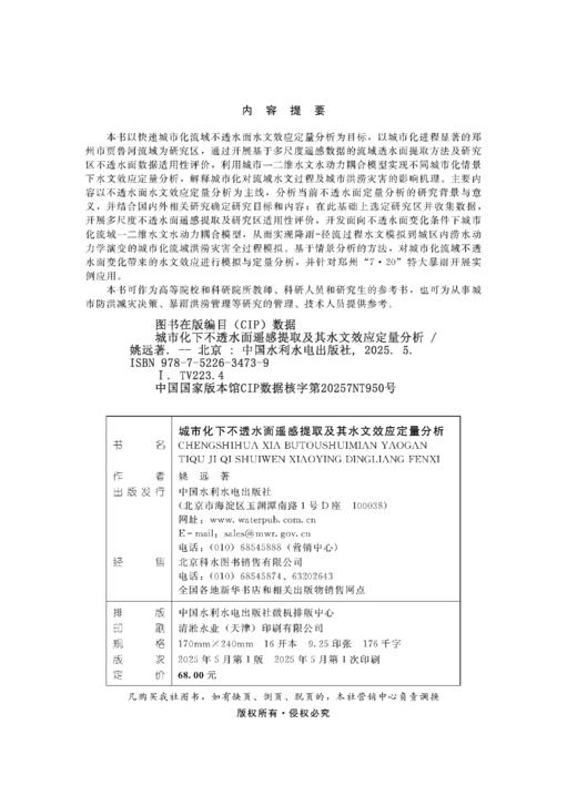 城市化下不透水面遥感提取及其水文效应定量分析 商品图3