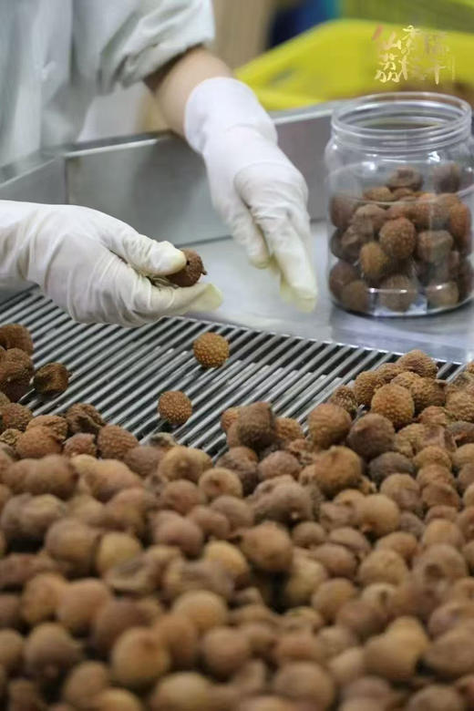 20205年新货仙糯香荔枝干 250g 肉厚核小 商品图5