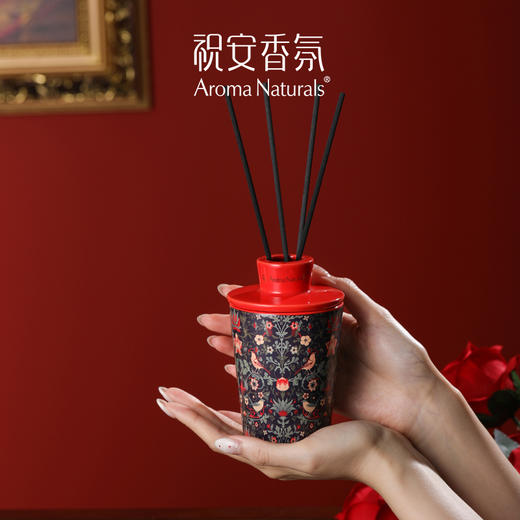 【祝安】艺术家nano系列家居香氛挥发液氛围感送礼持久扩香居家礼物 商品图2