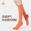 梵美人 FMR081 瑜伽袜 商品缩略图3