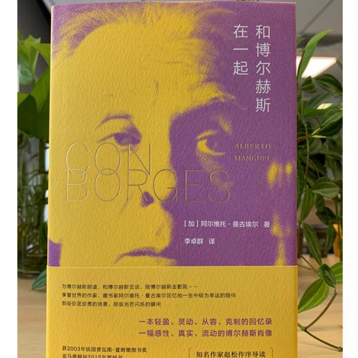 《想象的生活》《迷怪》《迷人怪物》《和博尔赫斯在一起》 商品图4