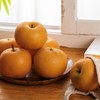 山东秋月梨|酥脆无渣，比冰糖还甜的梨汁炸弹，秋日超水灵的一口！ 商品缩略图0
