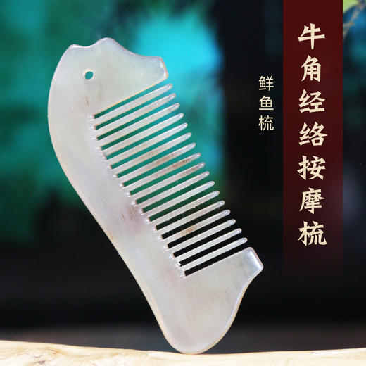 4060  十鲜鱼梳 商品图1