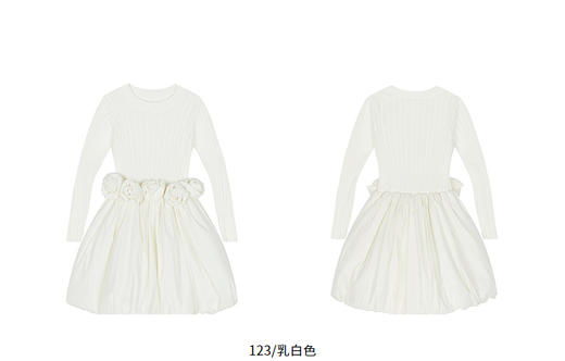 jnby   25年秋款   长袖毛衫连衣裙  YP9G11490 商品图8