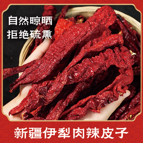 新疆伊犁肉辣皮子