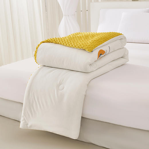 史努比·3D安抚豆豆被（A类）SND03-2023B【LXGWDXY2.0】 商品图11