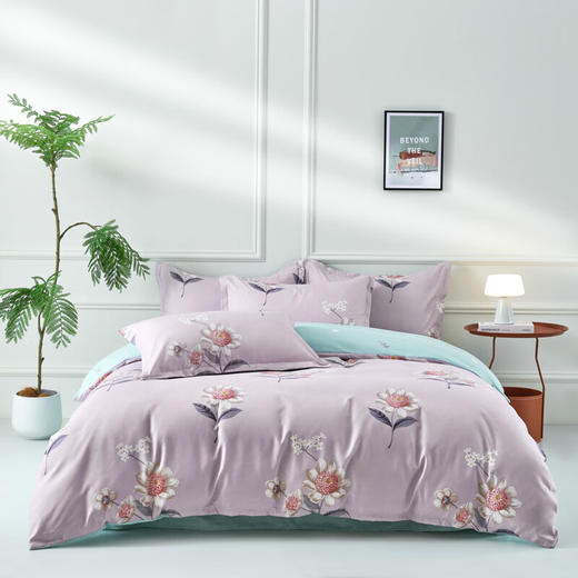 PAUI DAVID保罗大卫 醇净四件套-洛菲 商品图0