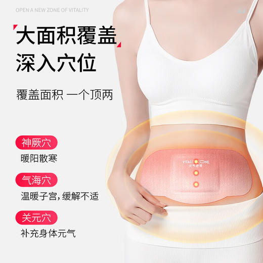 元气地带蕲艾将军藤轻盈贴3片/盒 1盒 商品图0