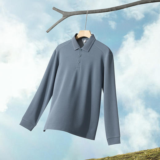半身缘男装 春秋10A抑菌合身保暖长袖POLO衫596 商品图3