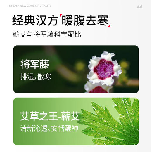 元气地带蕲艾将军藤轻盈贴3片/盒 1盒 商品图3