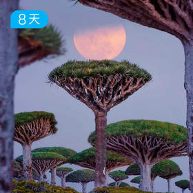 逃离地球·索科特拉岛