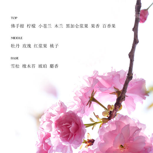 和莳话玫浆果50ML果香花香调花系列香水 商品图1