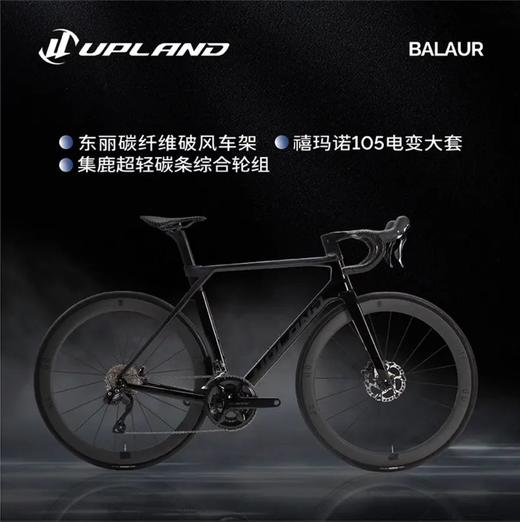 UPLAND阿普兰Balaur巴勒超轻全碳纤维自行车公路车24速白色碳轮版 商品图3