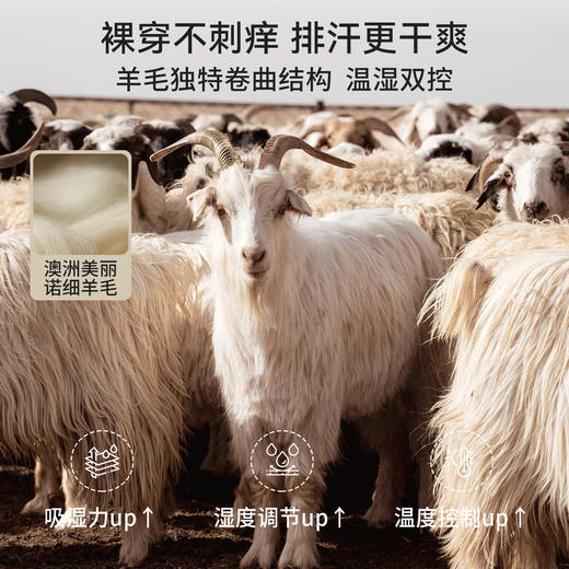 【宝宝服饰】嫚熙羊毛发热绒儿童保暖家居服宝宝睡衣套装 商品图1
