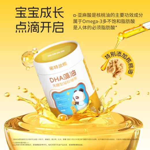 27年11月 诺特兰德 DHA藻油无糖型凝胶糖果 甜橙味 商品图2