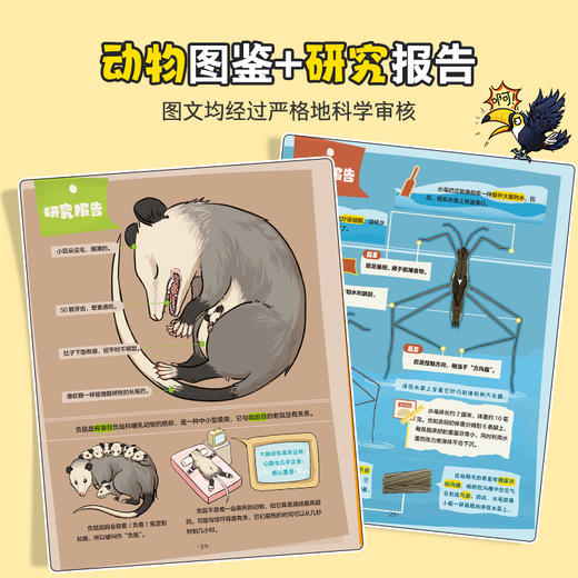 【青葫芦】动物博士神秘档案馆：不可思议的生存技能+爆笑不止的动物八卦 商品图4