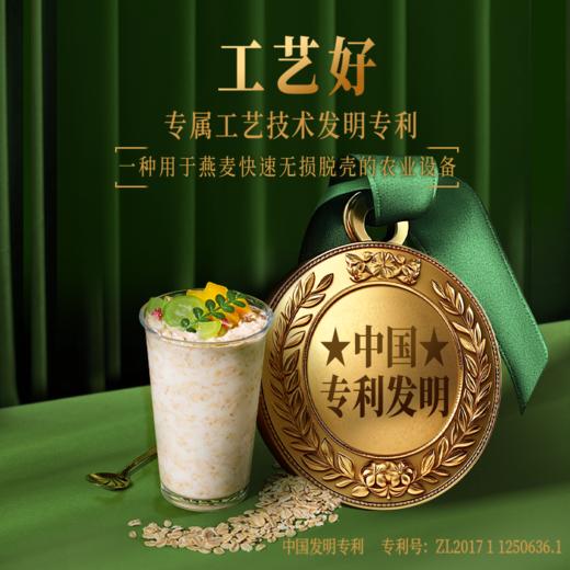 高蛋白有机燕麦片560g 张家口坝上1号燕麦 0蔗糖 即食代餐营养谷物 商品图5