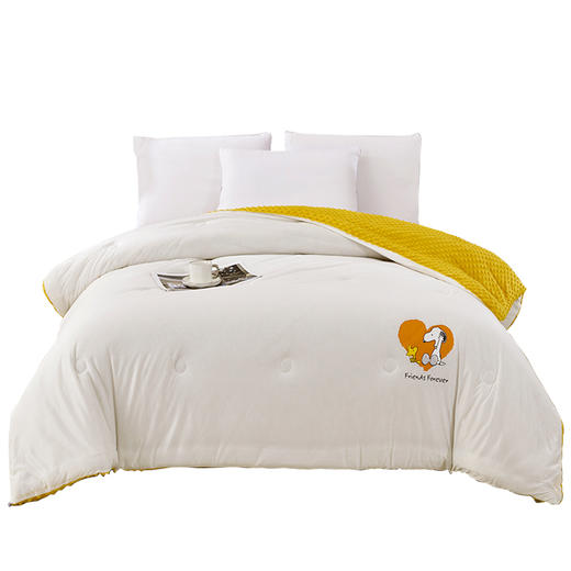 史努比·3D安抚豆豆被（A类）SND03-2023B【LXGWDXY2.0】 商品图0