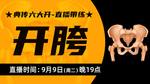 【9月9日】典传六大开直播带练（开胯） 商品图0