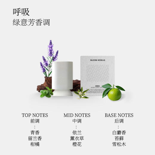 和莳诗系列香薰蜡烛-愈见/放空/呼吸/初禅-气味4款 商品图2