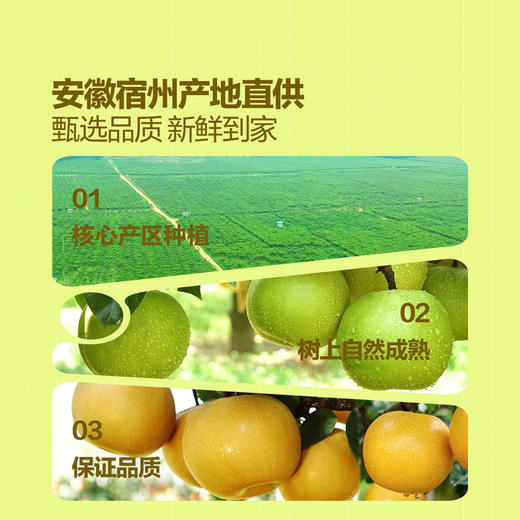 MM 山姆 翠玉冰糖梨 3.4kg 商品图2