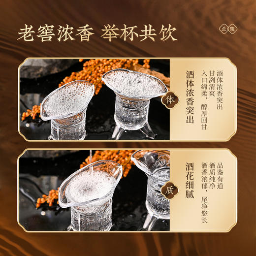 兰陵王酒 42度金牌手工酿造班礼盒 500mL*2瓶 浓香纯粮固态发酵白酒礼盒送礼 商品图3