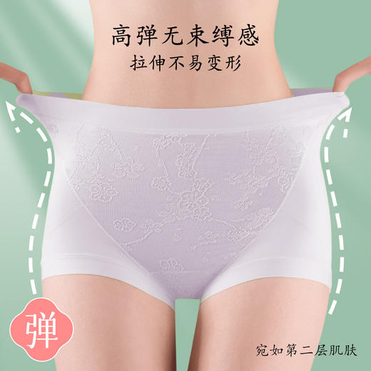 ALDOLA/雅黛俪高腰收腹提臀内裤女纯棉加长裆性感蕾丝无痕三角裤 商品图5