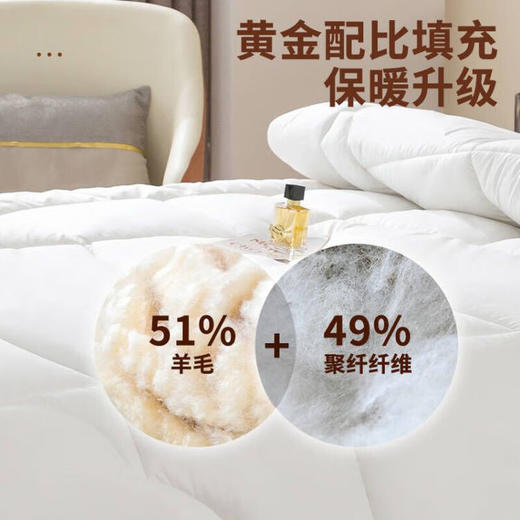 ANCHOW安巢 羊毛混合冬被AW10706 商品图2